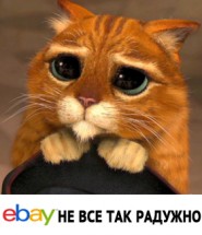 ebay-radygno